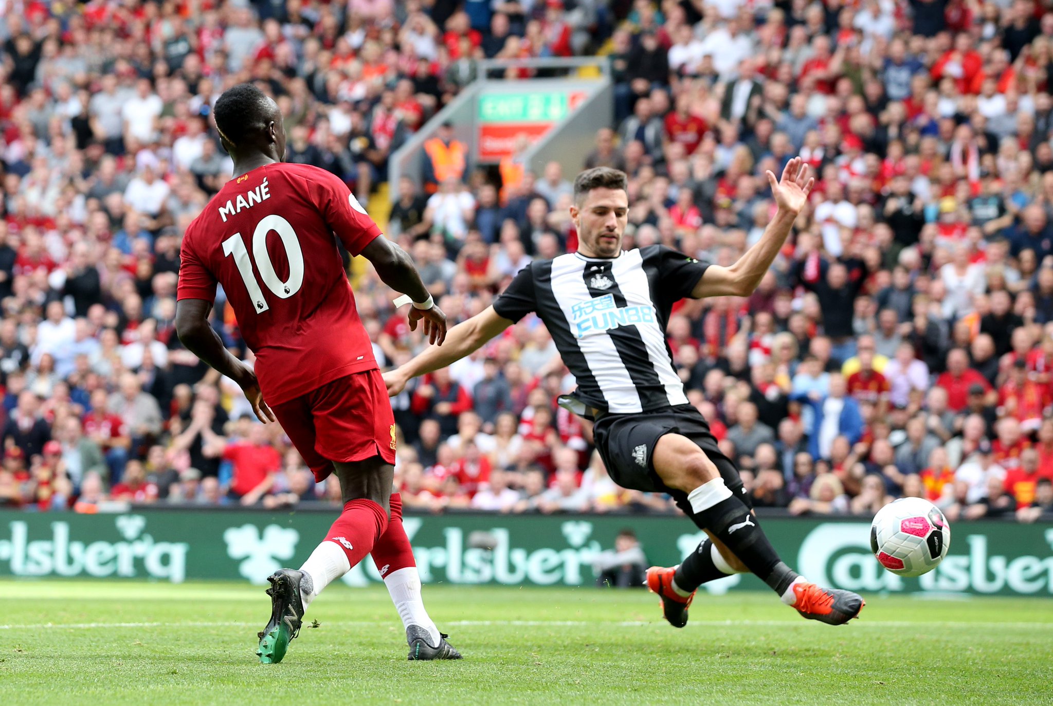 为他们提供 为他们提供